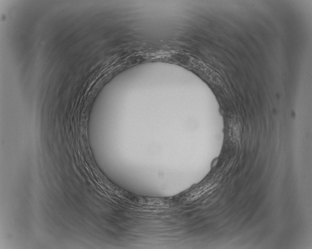 X0000085801393200703160947