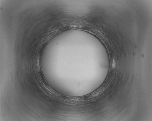 X0000085801396200703160947