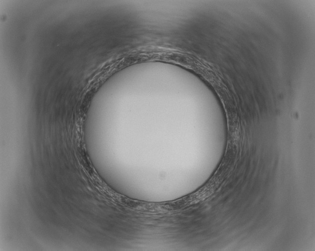 X0000085801397200703160947