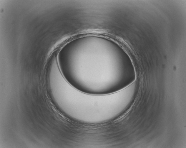 X0000085801406200703160947
