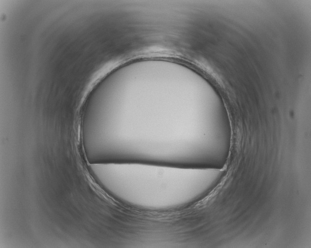 X0000085801413200703160948