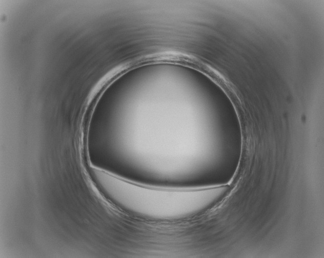 X0000085801418200703160948