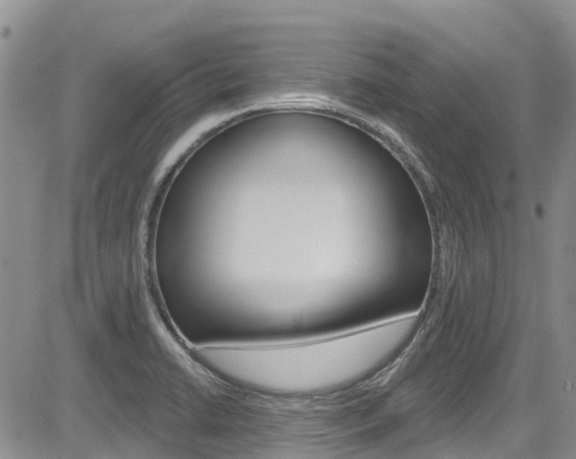 X0000085801422200703160948