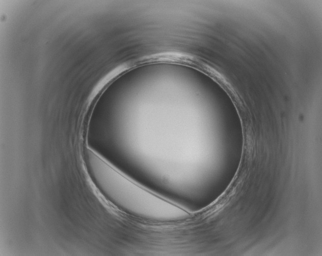 X0000085801426200703160948
