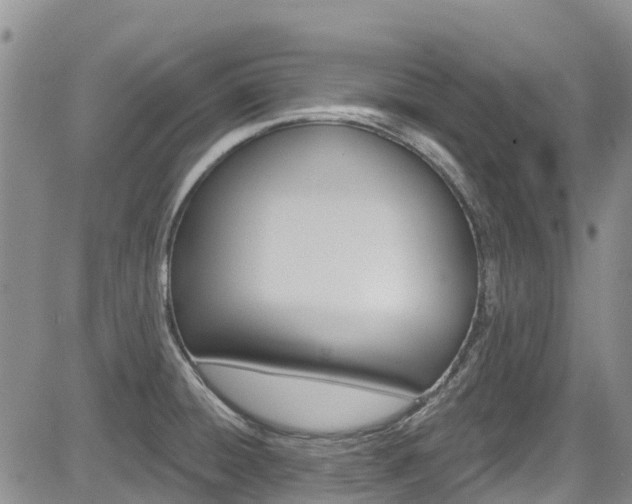 X0000085801428200703160948