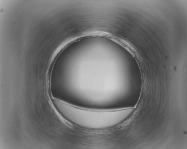 X0000085801430200703160948