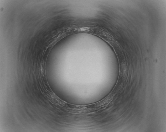 X0000085801442200703160947