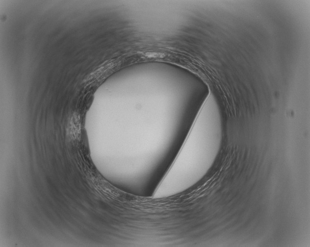 X0000085801443200703160947