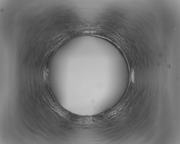 X0000085801444200703160947