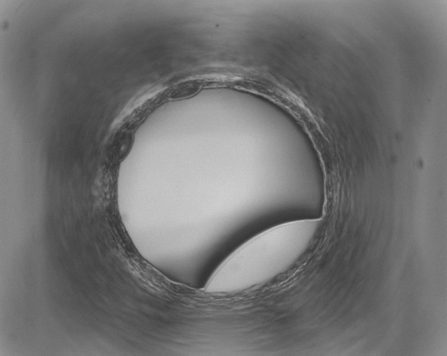 X0000085801448200703160947