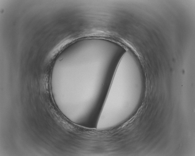 X0000085801455200703160947