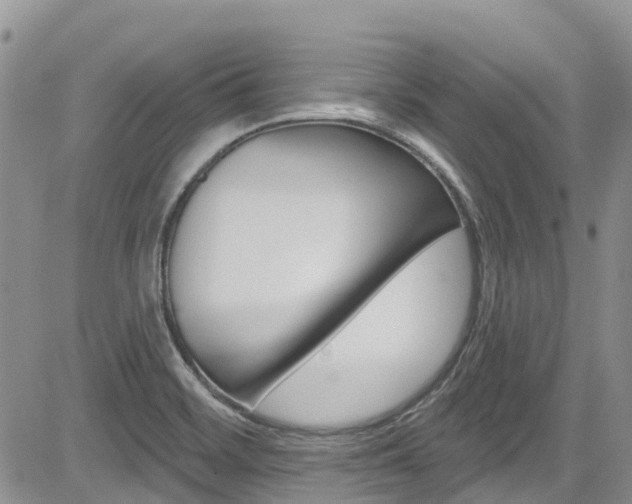 X0000085801468200703160947