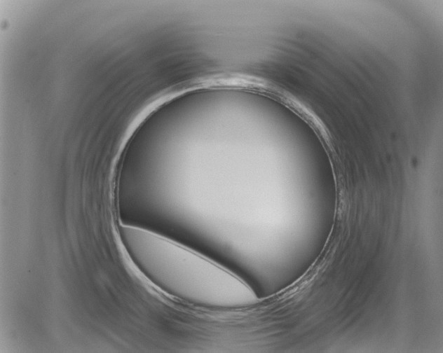X0000085801483200703160946