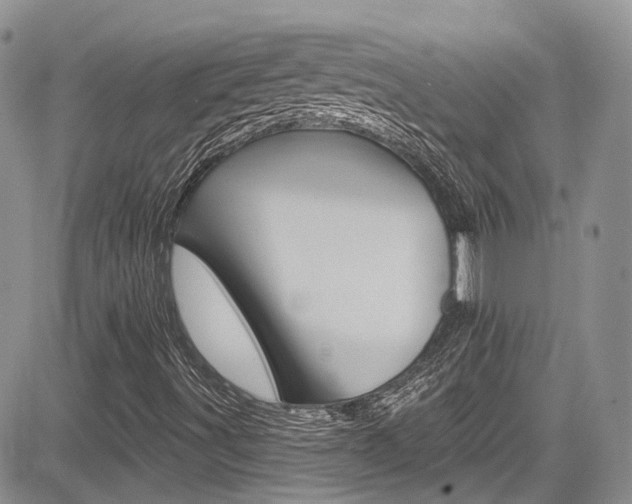 X0000085801491200703160946