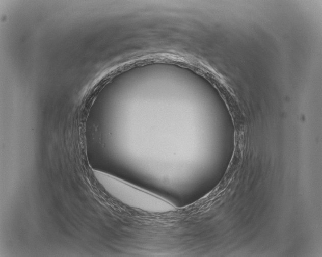 X0000085801496200703160946