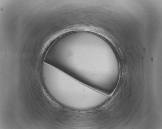 X0000085801507200703160946
