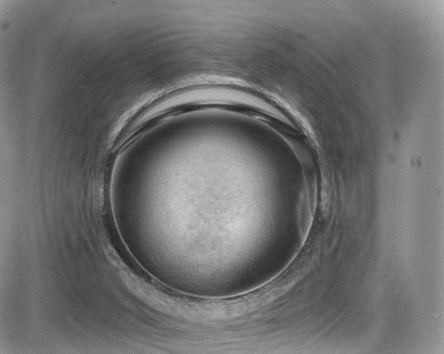 X0000085800015200703161202