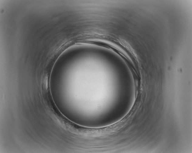 X0000085800021200703161202