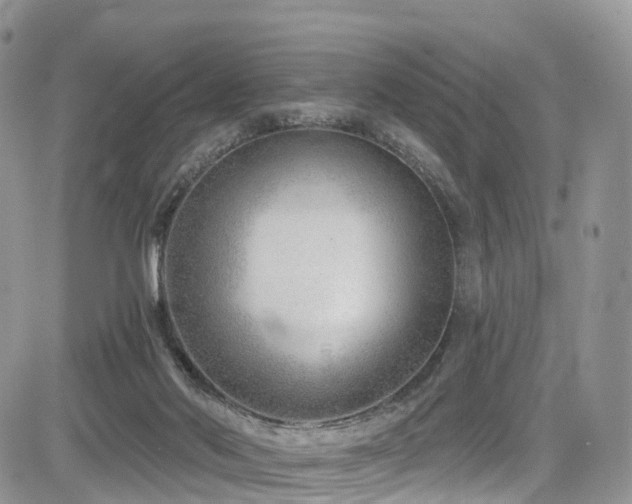 X0000085800022200703161202