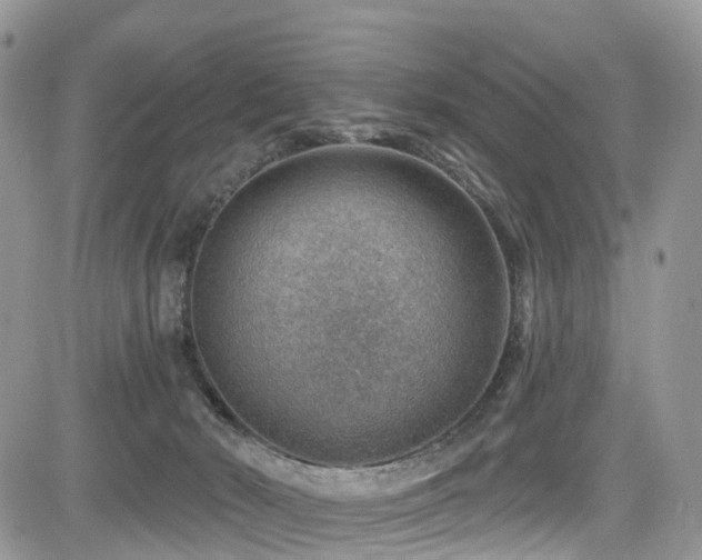 X0000085800030200703161202