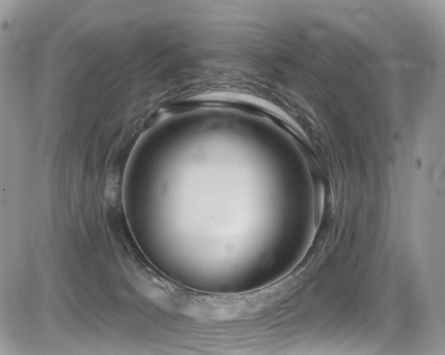 X0000085800033200703161202