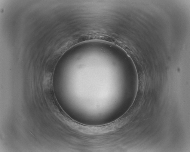 X0000085800034200703161202