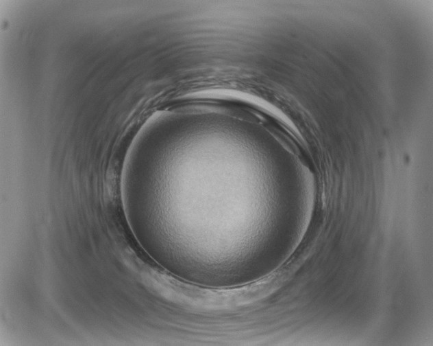 X0000085800035200703161202