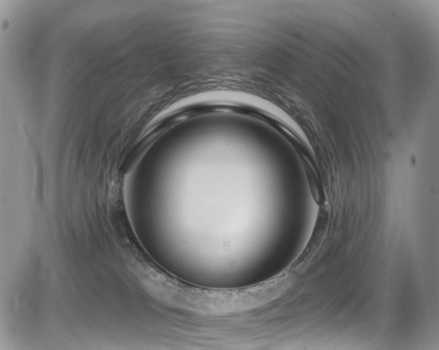 X0000085800037200703161202