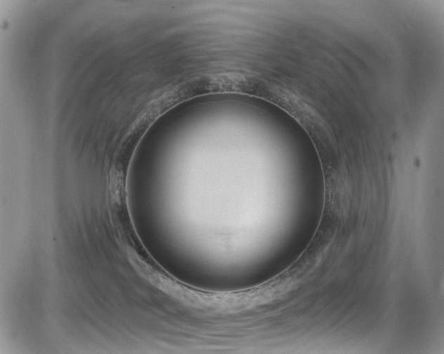 X0000085800038200703161202