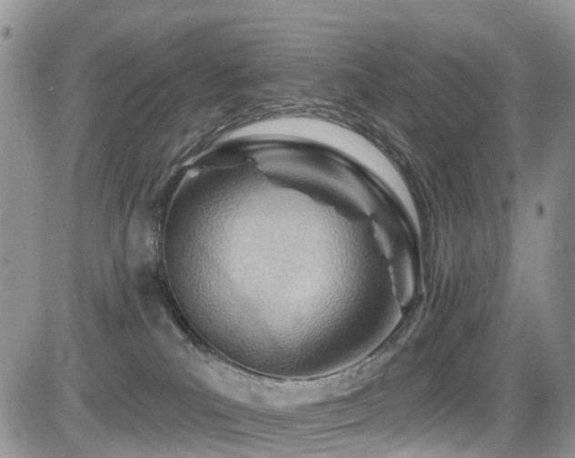 X0000085800039200703161202