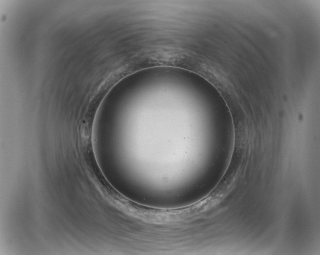 X0000085800040200703161202