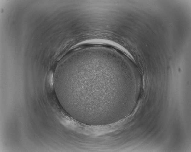 X0000085800041200703161202