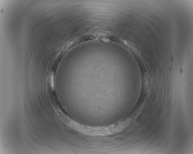 X0000085800042200703161202