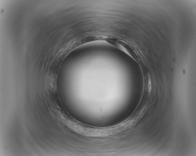 X0000085800044200703161202