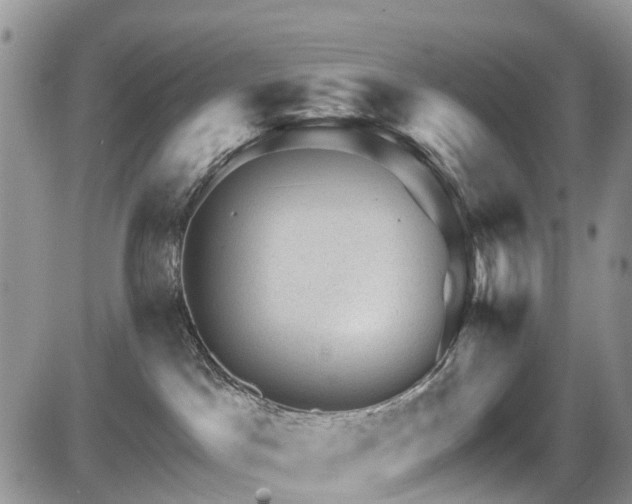 X0000085800045200703161202