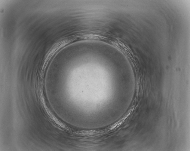 X0000085800049200703161201