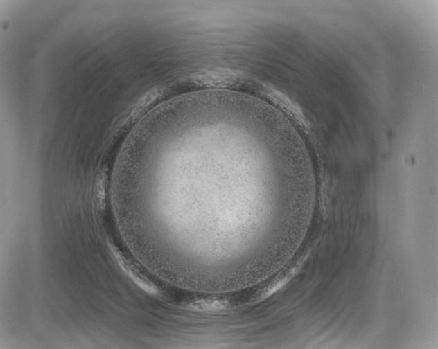 X0000085800065200703161201