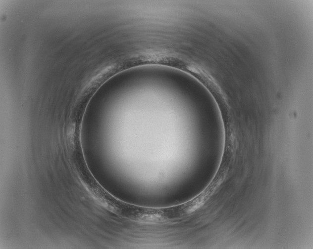 X0000085800066200703161201