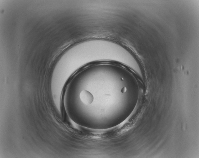 X0000085800068200703161201