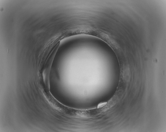 X0000085800070200703161201