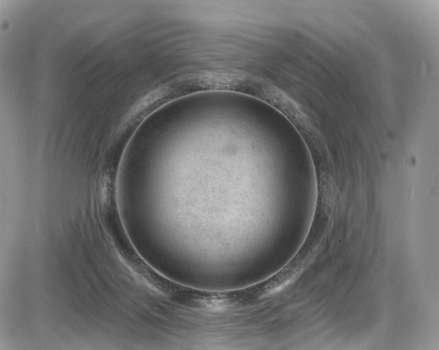 X0000085800071200703161201