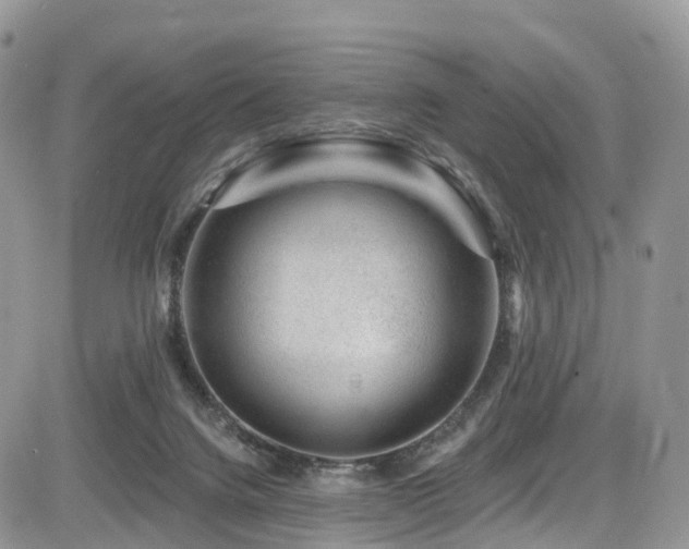 X0000085800072200703161201