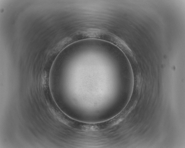 X0000085800073200703161201
