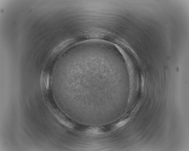X0000085800076200703161201
