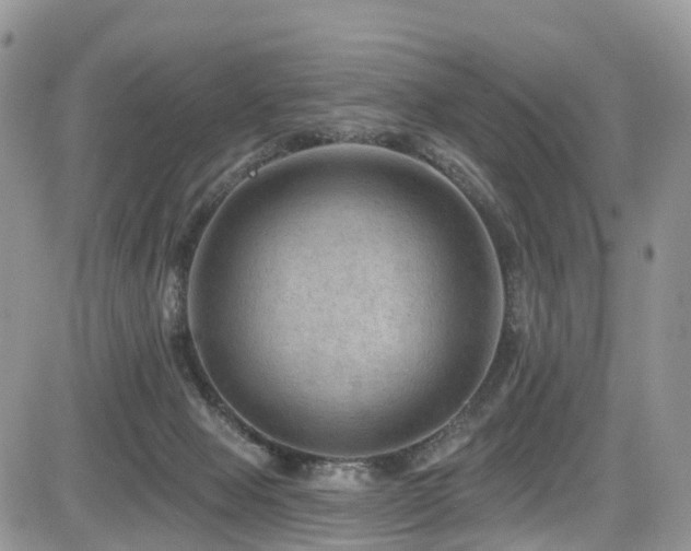X0000085800077200703161201