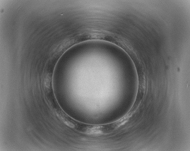 X0000085800078200703161201