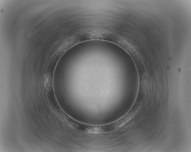 X0000085800079200703161201