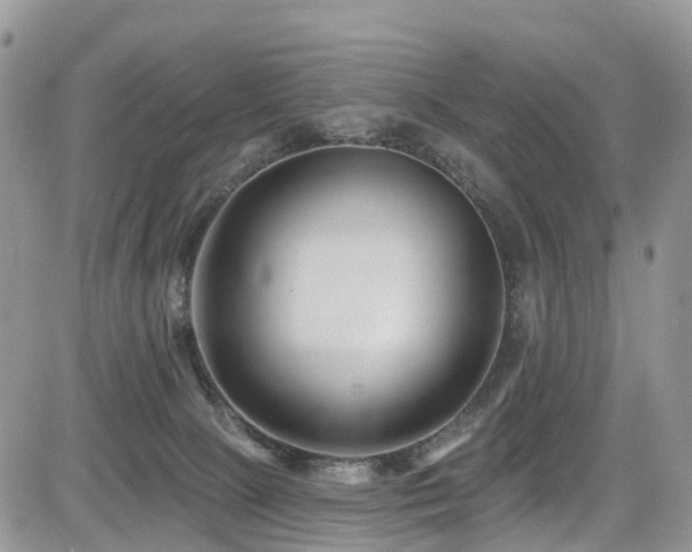 X0000085800081200703161201
