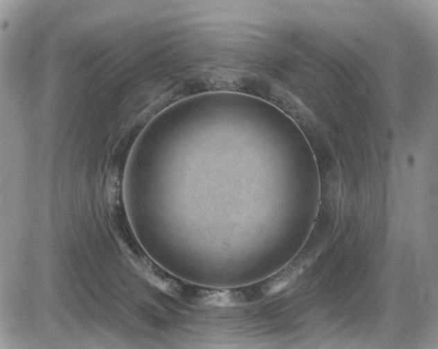 X0000085800083200703161201