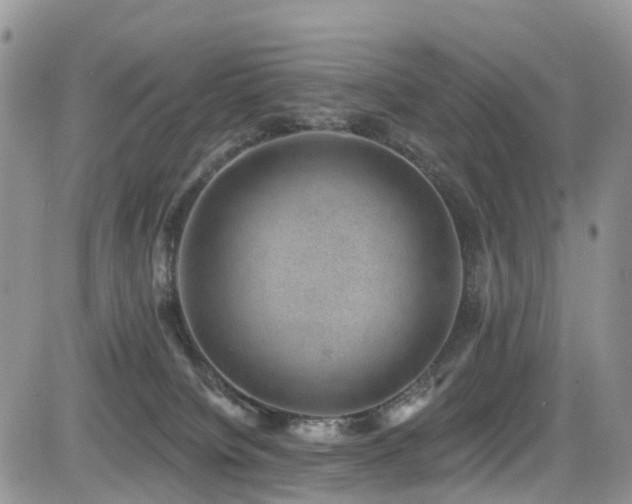 X0000085800084200703161201